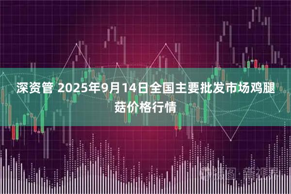 深资管 2025年9月14日全国主要批发市场鸡腿菇价格行情