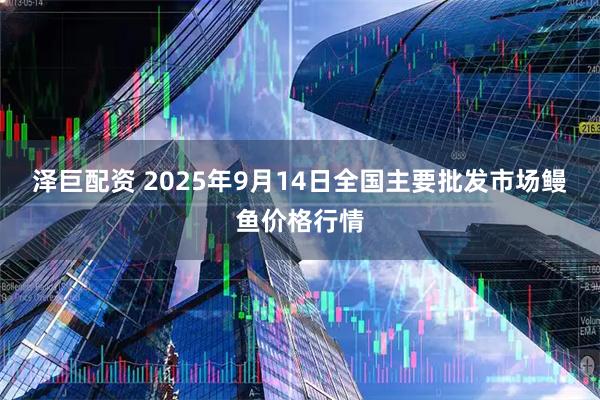 泽巨配资 2025年9月14日全国主要批发市场鳗鱼价格行情