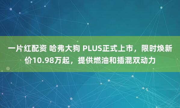 一片红配资 哈弗大狗 PLUS正式上市，限时焕新价10.98万起，提供燃油和插混双动力